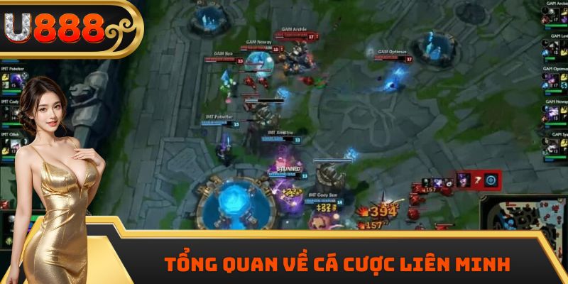 Tổng quan về cá cược liên minh